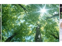 男头|≮第九期≯ 最简单的声音，只是一句喜欢你。