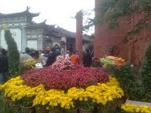 ▎丽江 ▎☀               我是否能明媚。